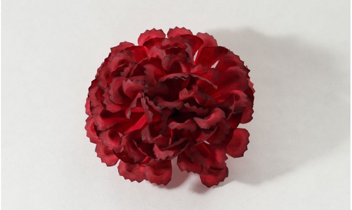 Хризантема большая 75/576