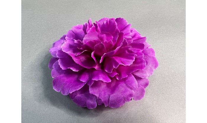 Гвоздика декоративная 82/210