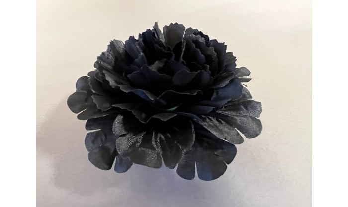 Гвоздика декоративная СП 82/544