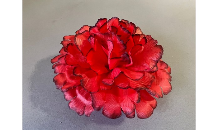 Гвоздика декоративная 82/59 