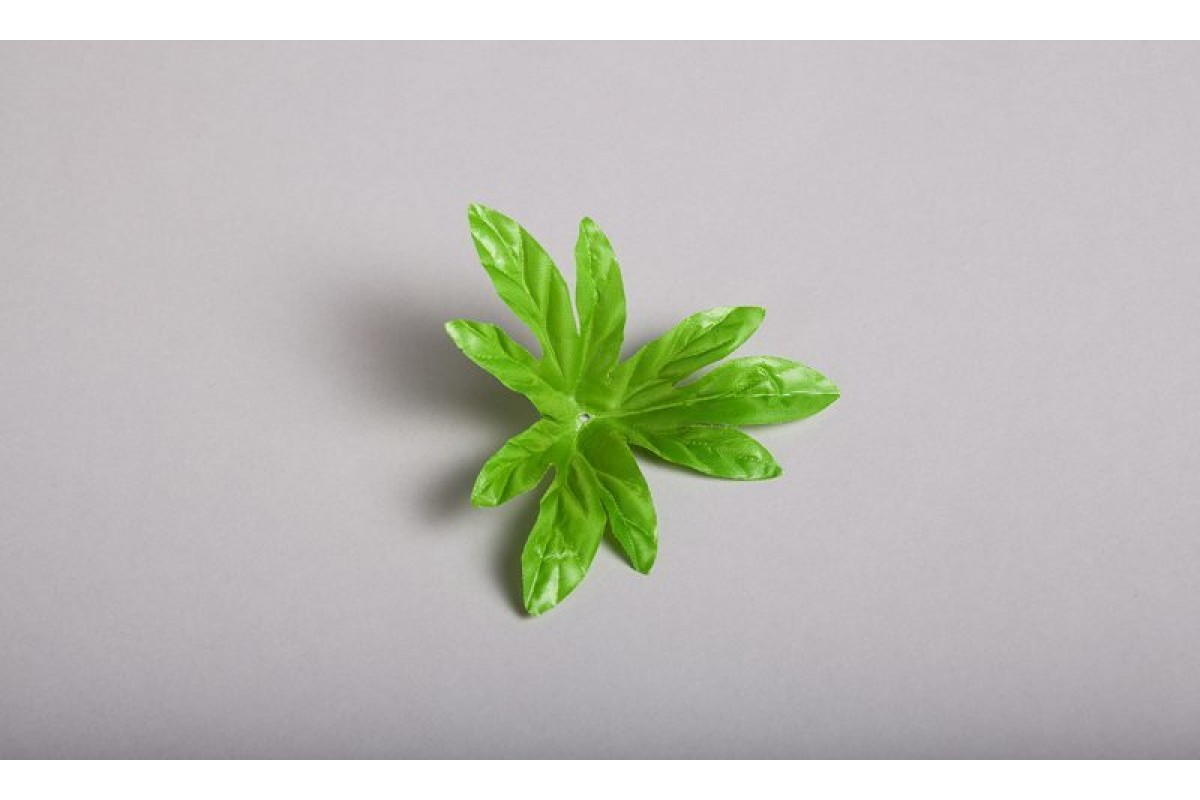 Экзотические листья. Лист пиона искусственная зелень. Цветок с острыми листиками. Листья деревьев. Острый лист.